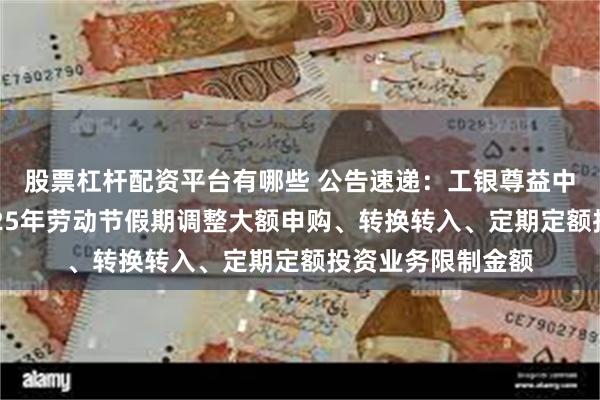 股票杠杆配资平台有哪些 公告速递：工银尊益中短债债券基金2025年劳动节假期调整大额申购、转换转入、定期定额投资业务限制金额