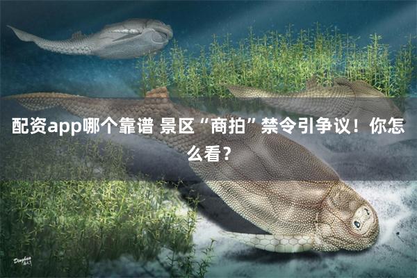 配资app哪个靠谱 景区“商拍”禁令引争议！你怎么看？