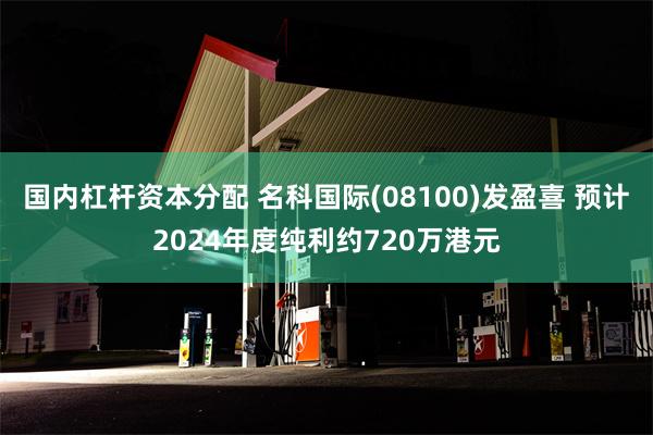 国内杠杆资本分配 名科国际(08100)发盈喜 预计2024年度纯利约720万港元