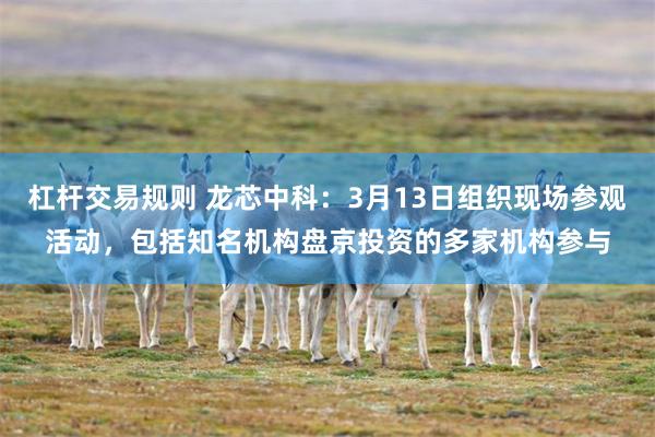 杠杆交易规则 龙芯中科：3月13日组织现场参观活动，包括知名机构盘京投资的多家机构参与