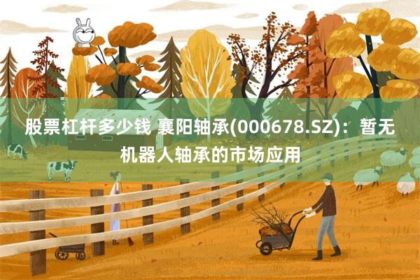 股票杠杆多少钱 襄阳轴承(000678.SZ)：暂无机器人轴承的市场应用