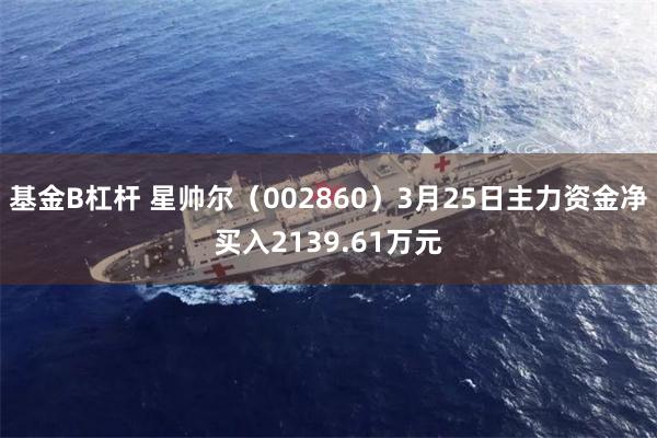 基金B杠杆 星帅尔（002860）3月25日主力资金净买入2139.61万元