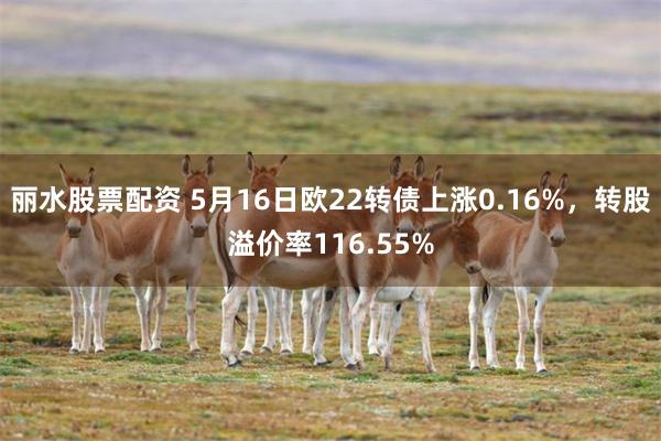 丽水股票配资 5月16日欧22转债上涨0.16%，转股溢价率116.55%