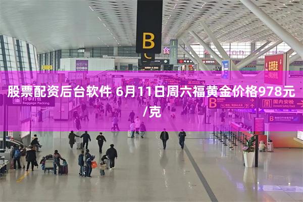 股票配资后台软件 6月11日周六福黄金价格978元/克