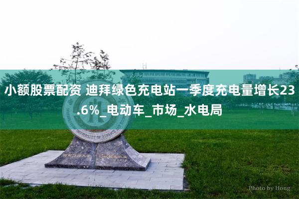 小额股票配资 迪拜绿色充电站一季度充电量增长23.6%_电动车_市场_水电局