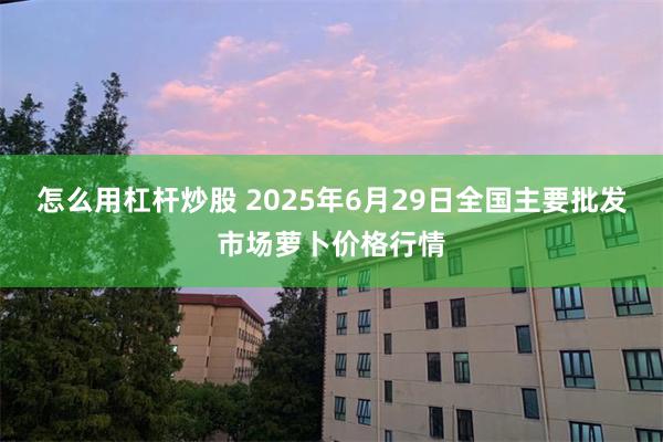 怎么用杠杆炒股 2025年6月29日全国主要批发市场萝卜价格行情