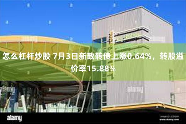 怎么杠杆炒股 7月3日新致转债上涨0.64%，转股溢价率15.88%